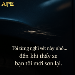 son-lai-xe