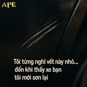 son-lai-xe