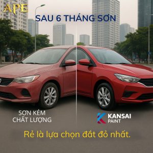 loi-son-o-to