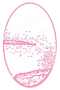 soicau bachthu mienbac