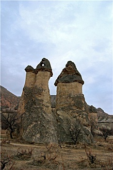 lo rong bach kim