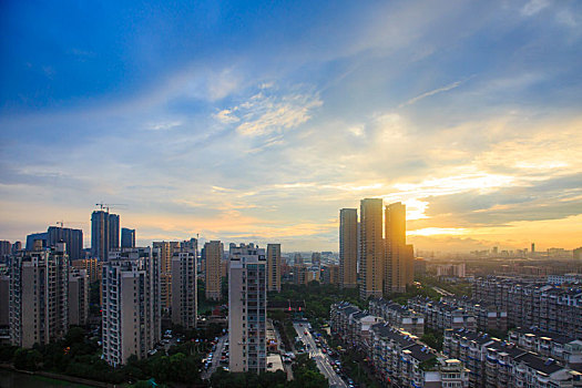 soi cau bạch thu