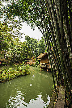 soi cau lo de mien nam