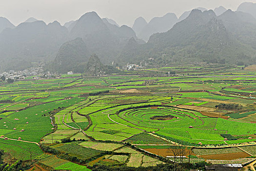 lo bach thu khung 3 ngay mien phi