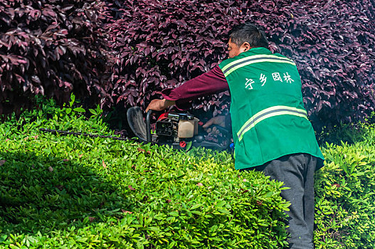 soi cầu bạch thủ lô