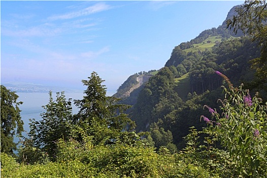 du doan lo