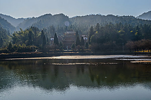 soi cau truc tuyen